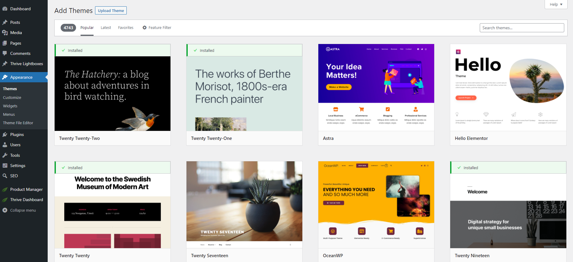 Selecting  A WordPress Theme 