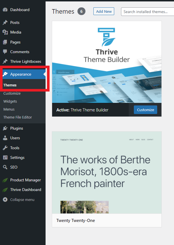 Choosing  A WordPress Theme 